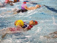 Large Pool Widths4